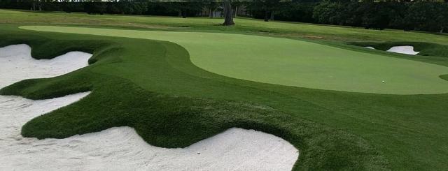 The Growing Popularity of Putting Greens in Austin