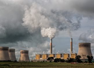 the main environmental the main environmental